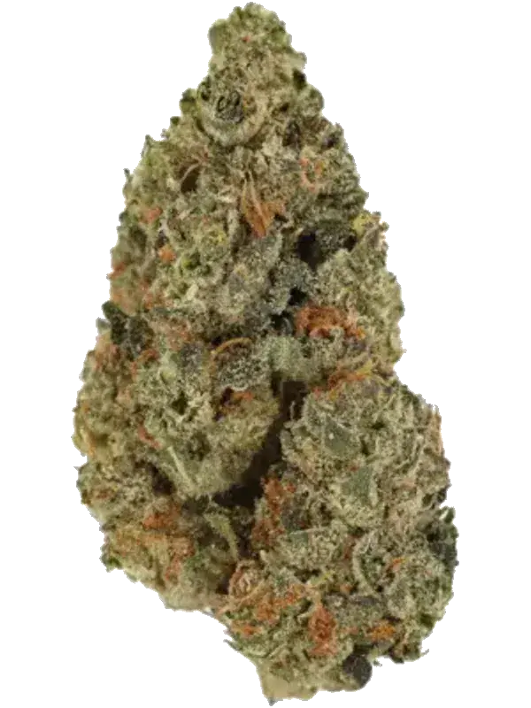 APEX MTF 32