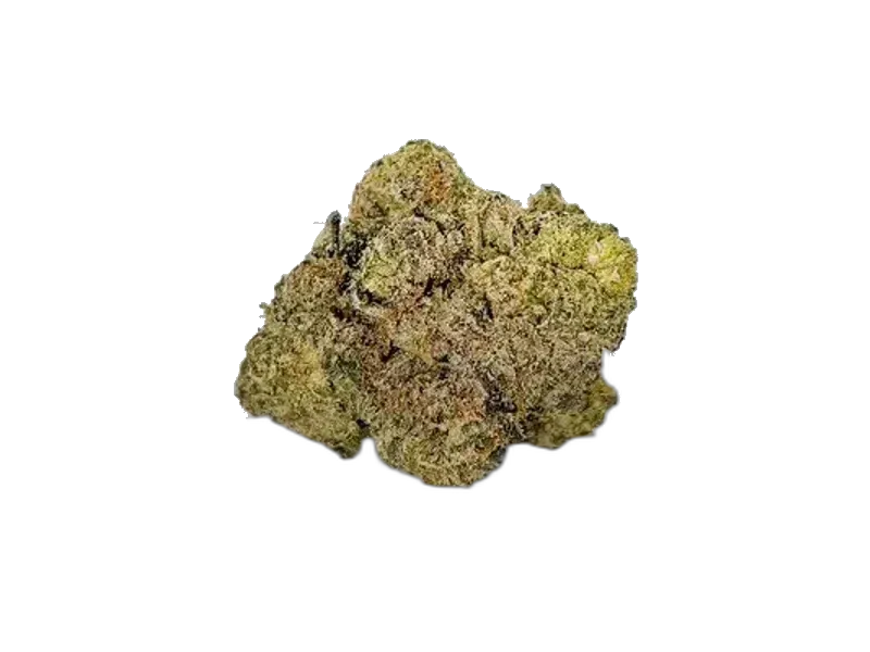 Origine Nature OC 32/1 Orange Cream