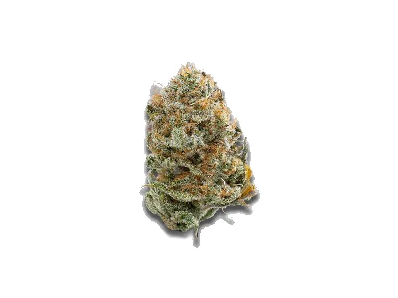 Jet Fuel Kush