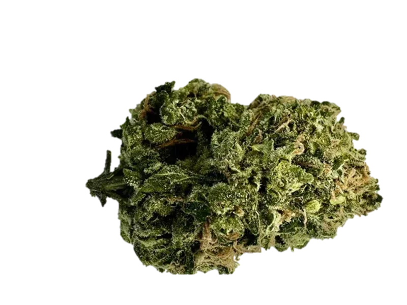 420 Evolution CA PLA