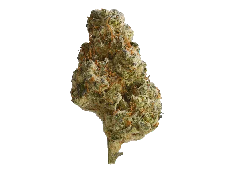 Baker's Delight