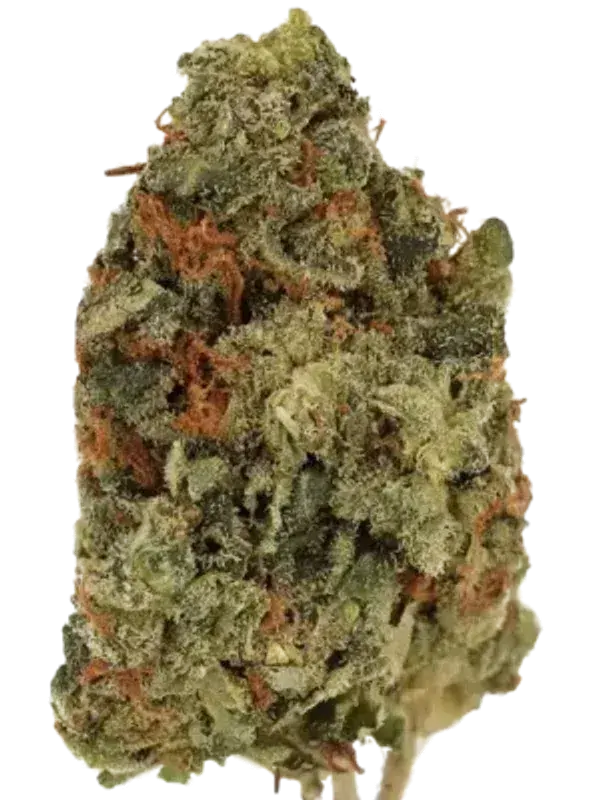 Lit 29/1 MKU Master Kush