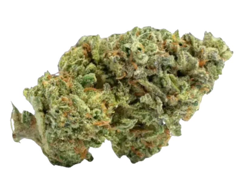 Zoiks 31/1 MN Moonlight Nectar