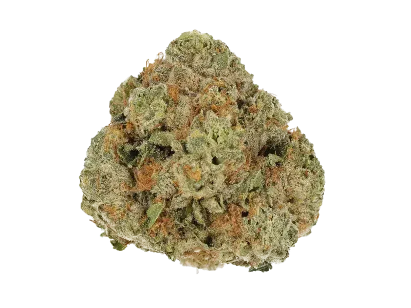 SKK MZ 30/1 Milkshake Zheetos